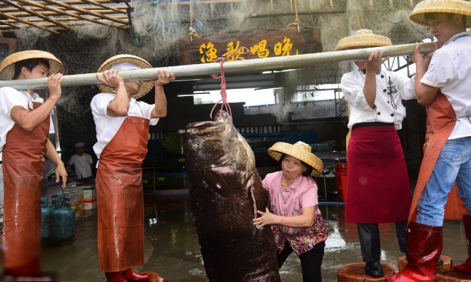 Ngư dân Trung Quốc bắt được cá mú nặng hơn hai tạ 