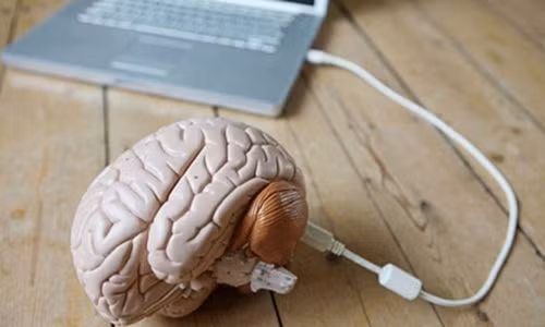 Khả năng sống bất tử trong thế giới ảo của con người