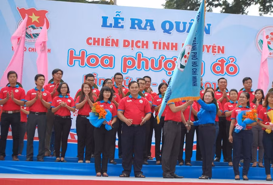 Hoa Phượng đỏ trải nghiệm và trưởng thành