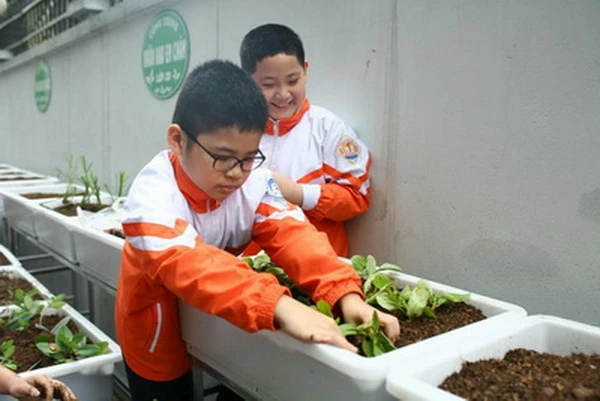 Mô hình Vườn rau em chăm” tại Trường Tiểu học Dịch Vọng B (Hà Nội)