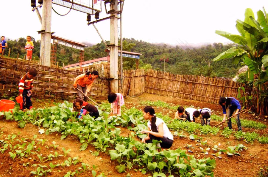 Cô và trò cùng nhau chăm sóc vườn rau sau giờ học