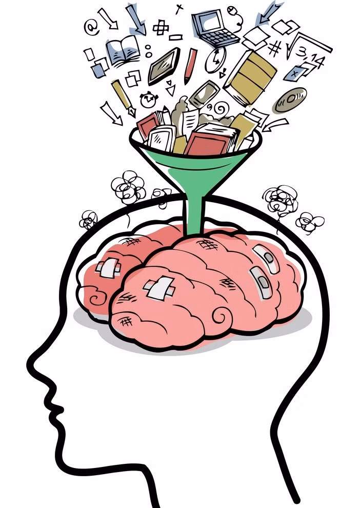 (Ảnh minh họa lầm tưởng học là lấp đầy não)