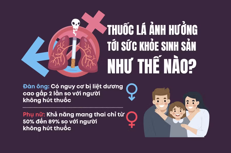 Infographic: Thuốc lá ảnh hưởng tới sức khỏe sinh sản như thế nào?