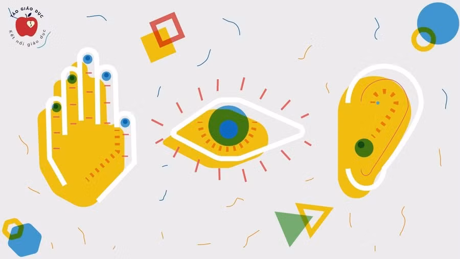 Hình ảnh minh họa các "phong cách học tập". Ảnh: Táo Giáo dục tưởng 4: “Phong cách học tập”