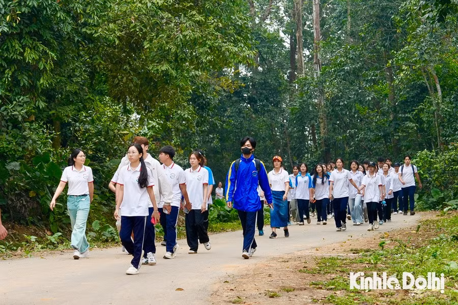 Các bạn trẻ học sinh, sinh viên tham gia hành trình đi bộ tại sự kiện.