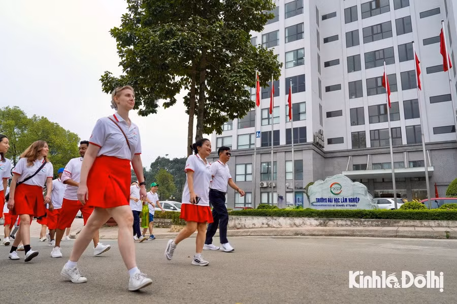 Hành động nhỏ, thông điệp lớn với chủ đề “Đi bộ vì con người và hành tinh" - thanh niên hành động giảm phát thải bảo vệ môi trường, giải đi bộ năm nay không chỉ là hoạt động thể thao, mà là lời khẳng định mạnh mẽ về vai trò của từng cá nhân trong quá trình chuyển đổi xanh.