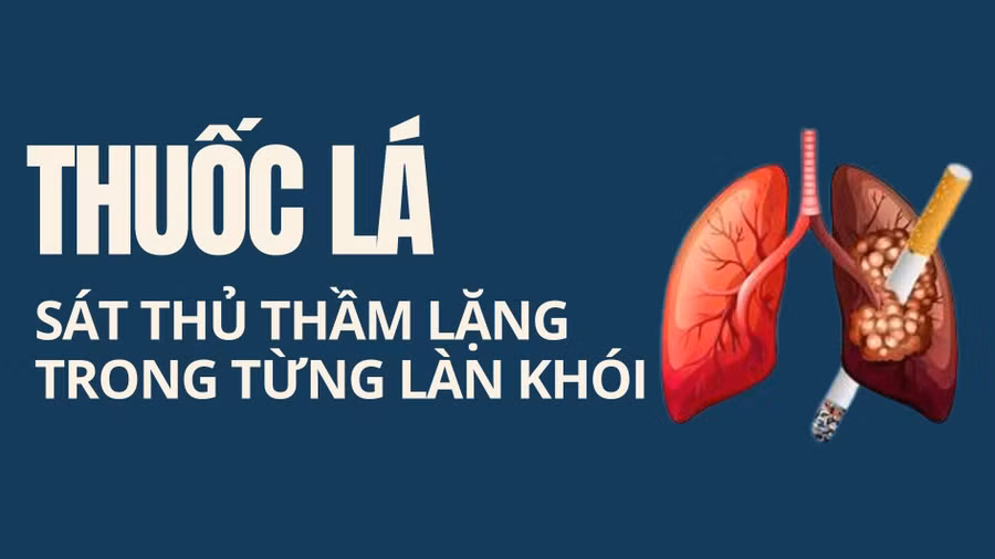 Infographic: Thuốc lá - Sát thủ thầm lặng tàn phá sức khỏe