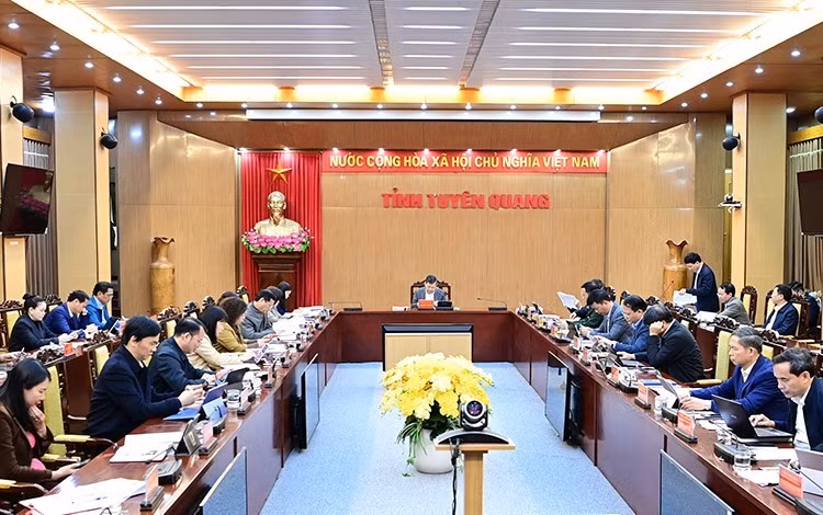 Phiên họp thường kỳ tháng 2 của UBND tỉnh Tuyên Quang chiều 18/2.