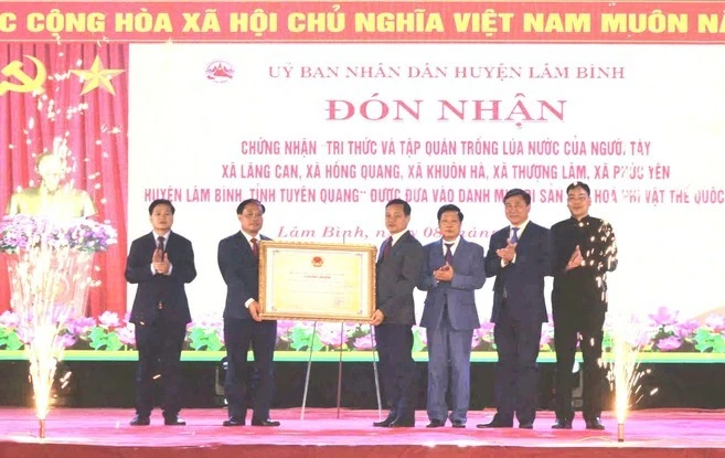 Lãnh đạo UBND huyện Lâm Bình (tỉnh Tuyên Quang) đón chứng nhận di sản văn hóa phi vật thể quốc gia "Tri thức và tập quán trồng lúa nước của người Tày".