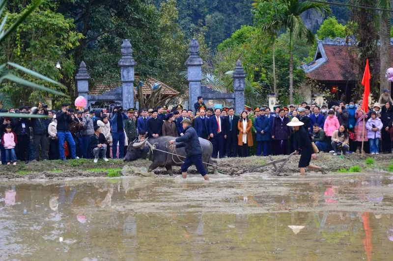 Tái hiện mà tịch điền. 476377573-1180590110741117-2847310188872875540-n.jpg