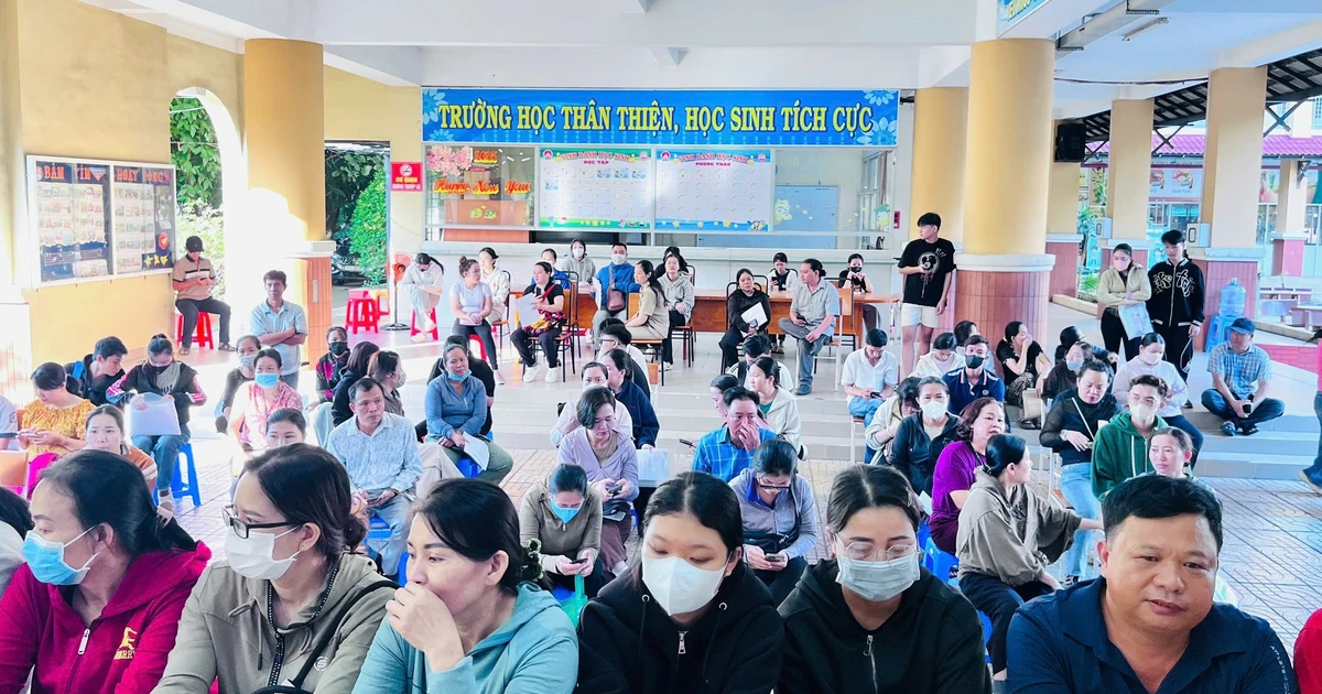 Bài viết