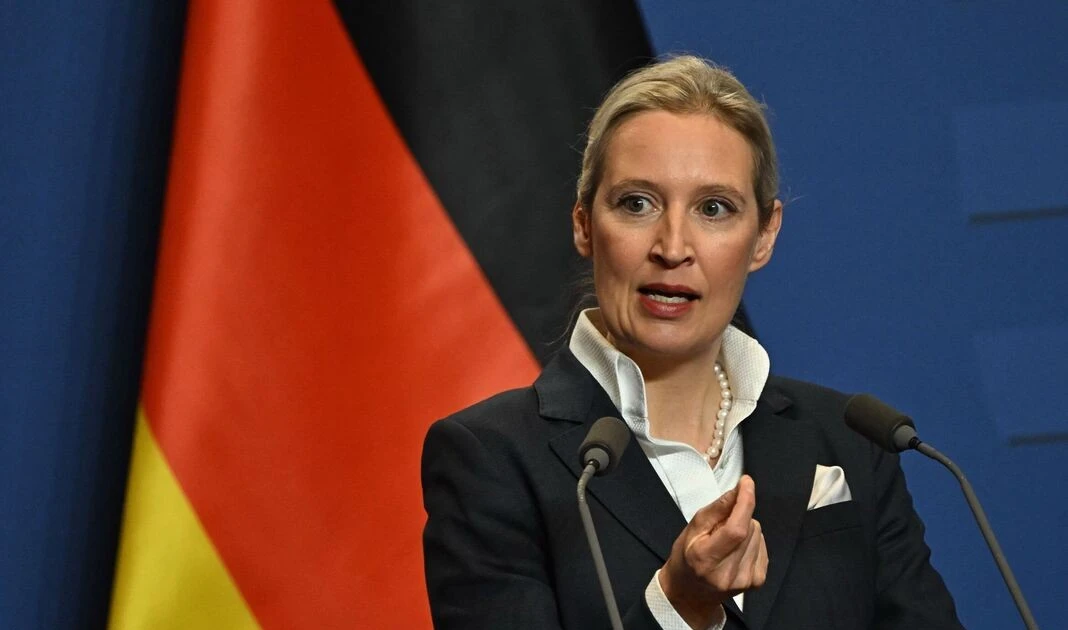 Bầu cử Thủ tướng Đức: Bất ngờ cho bà Alice Weidel của AfD