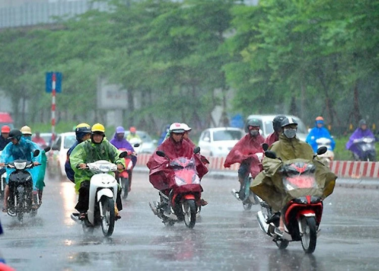 Bài viết