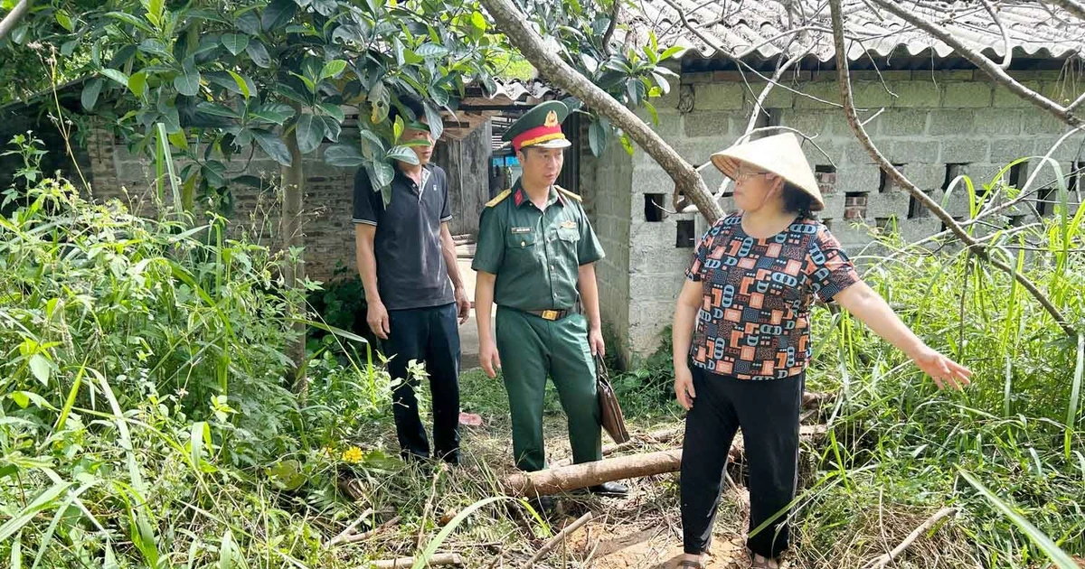 Bài viết