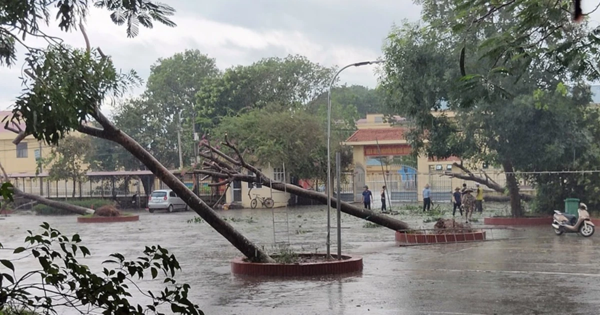 Hơn 100 trường học Hà Nội chưa thể đón học sinh trở lại học