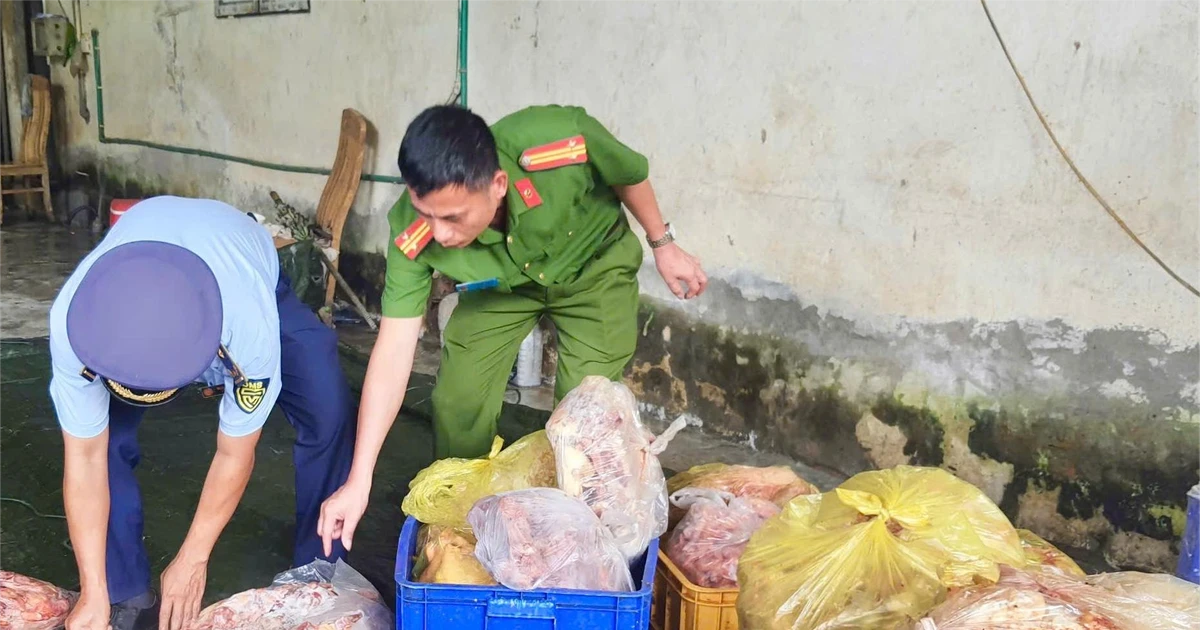 Ngày và Địa Điểm Kiểm Tra
