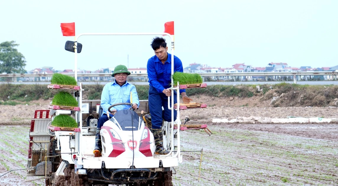 Bí thư, Chủ tịch Vĩnh Phúc xuống đồng cấy lúa, động viên nông dân sản xuất