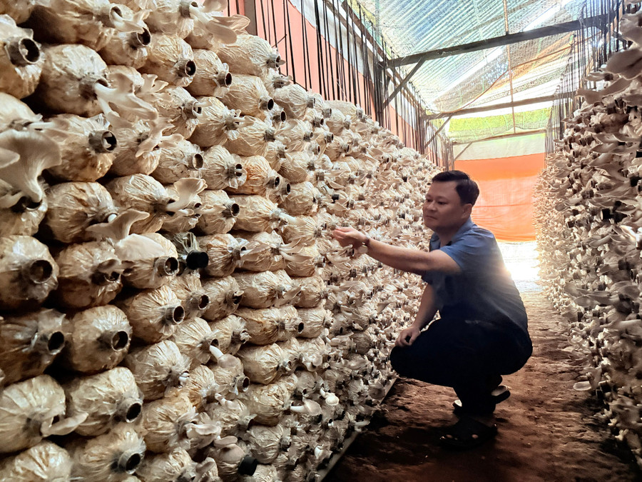 Với PGS.TS Nguyễn Phương Đại Nguyên, khoa học phải gắn chặt với thực tiễn để phục vụ người dân ngày một tốt hơn. (Ảnh: NT) pgs-3.jpg