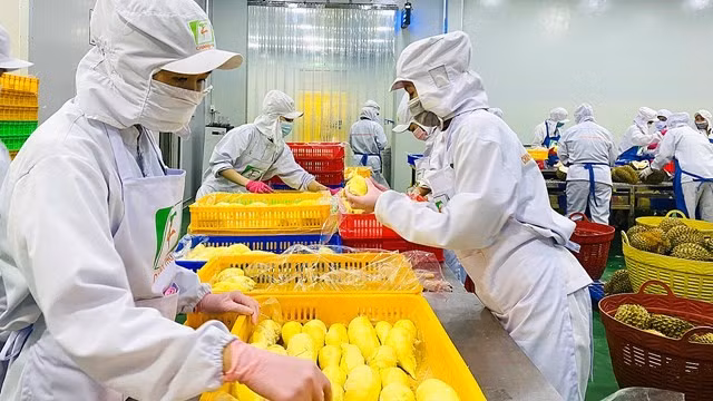 Chế biến sâu giúp nâng giá trị nông sản Đắk Lắk. (Ảnh ITN)