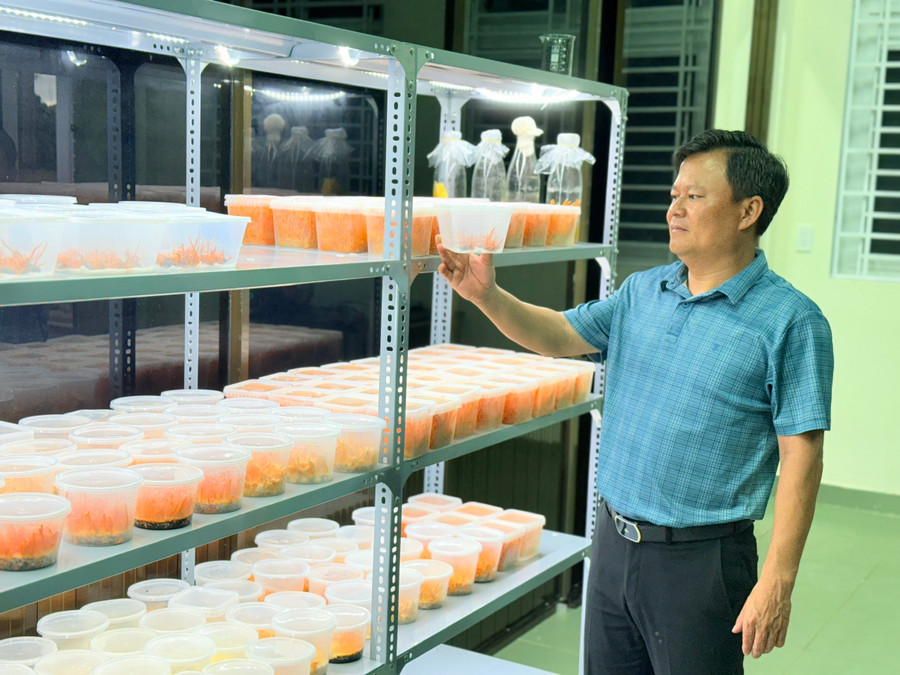 PGS.TS Nguyễn Phương Đại Nguyên bên trong phòng thí nghiệm sinh học, Trường Đại học Tây Nguyên. (Ảnh: NT) pgs-2.jpg