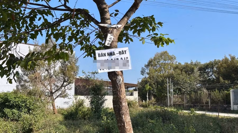 "Cò đất" hoạt động tự phát gây nhiễu loạn thị trường bất động sản tại nhiều nơi ở Đắk Lắk.