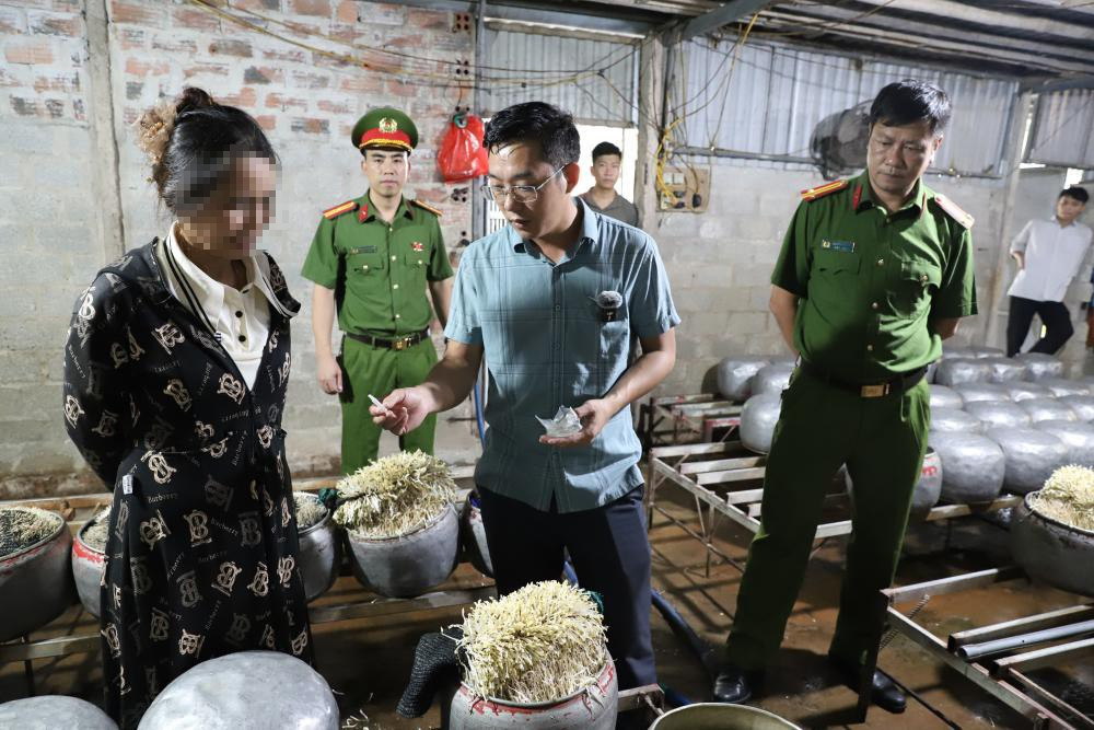 Hà Tĩnh: Phát hiện cơ sở sử dụng chất cấm để sản xuất giá đỗ | Báo Giáo dục và Thời đại Online