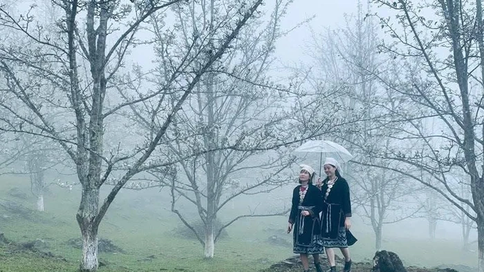 Vẻ đẹp hấp dẫn của thiên nhiên mỗi độ Xuân về.