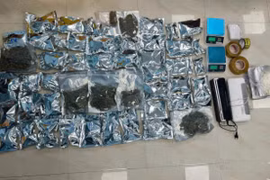 Tang vật thu giữ khoảng 20kg thảo mộc khô nghi là ma túy loại cần sa. Ảnh: Công an cung cấp