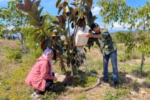 Xã Dục Nông phấn đấu không còn hộ nghèo. Ảnh: Q.Phú