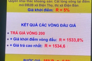 Bảng đấu giá cát tại điểm mỏ ĐB2B xã Điện Thọ, thị xã Điện Bàn, Quảng Nam. 