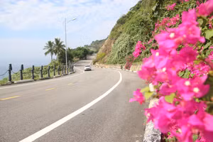 Đường lên bán đảo Sơn Trà (TP Đà Nẵng). 