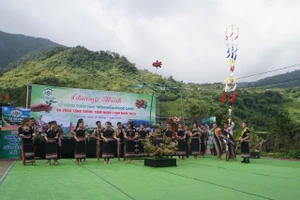 Lễ cúng Thần Sâm – Ươm mầm Ngọc Linh.