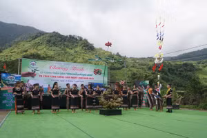 Lễ cúng Thần Sâm – Ươm mầm Ngọc Linh.