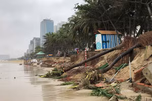 Bờ biển Đà Nẵng bị sạt lở.