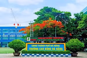 Trường Cao đẳng Đà Nẵng. 