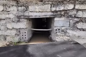 Chủ đầu tư khu du lịch Temple Resort Danang đã vi phạm quy định pháp luật về bảo vệ môi trường, an toàn thực phẩm.