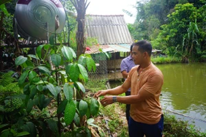Anh BNướch Ngang bên khu vườn của mình.