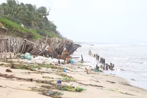 Bờ biển Hội An bị sạt lở.