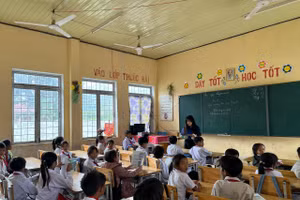 Quảng Ngãi sắp xếp trường học, hướng tới tái cấu trúc hệ thống