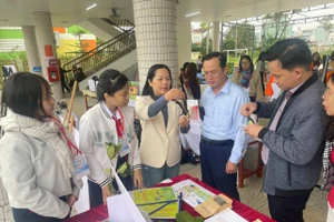 Ban giám khảo kiểm tra và chấm điểm các dự án của học sinh dự thi. 