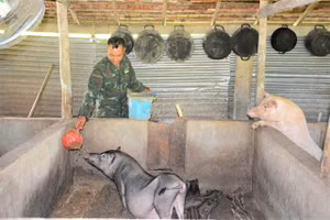 Ông Đinh Văn Tơn (người đồng bào Ca Dong), người tiên phong trong mô hình phát triển kinh tế tổng hợp. Ảnh: Anh Đại