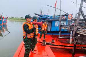 Lực lượng Bộ đội Biên phòng TP Đà Nẵng hỗ trợ ngư dân vào tránh bão tại âu thuyền Thọ Quang.