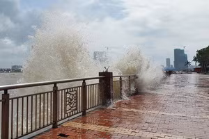 Dự báo ở Đà Nẵng từ ngày 22/10 có mưa lớn do ảnh hưởng của bão số 12. 