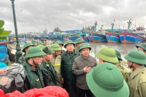 Phó Thủ tướng Trần Hồng Hà kiểm tra tại khu neo đậu tàu thuyền cảng cá Quy Nhơn (tỉnh Gia Lai).