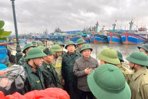 Phó Thủ tướng Trần Hồng Hà kiểm tra tại khu neo đậu tàu thuyền cảng cá Quy Nhơn (tỉnh Gia Lai).