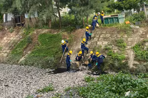 Cá chết trắng hồ điều tiết. 