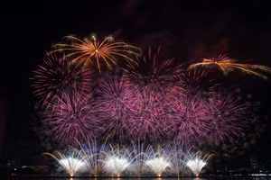 Màn trình diễn của đội pháo hoa Z121 Việt Nam.