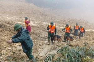 Bộ đội cùng chó nghiệp vụ đến hiện trường vụ sạt lở tìm kiếm nạn nhân mất tích.