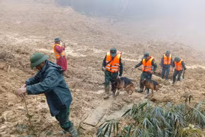 Bộ đội cùng chó nghiệp vụ đến hiện trường vụ sạt lở tìm kiếm nạn nhân mất tích.