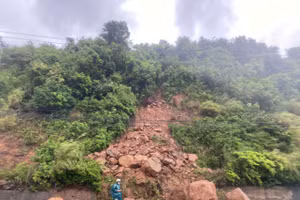 Sạt lở đất đá đường lên bán đảo Sơn Trà (Đà Nẵng) do mưa lớn kéo dài. 